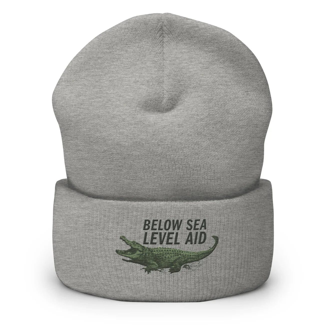 BSLA Logo Beanie